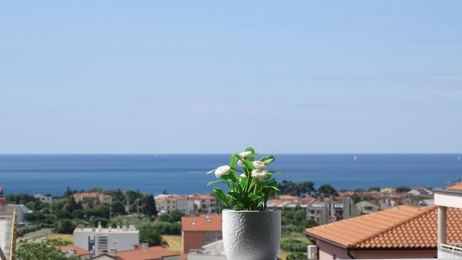 Apartment Bellavista Novigrad Istria